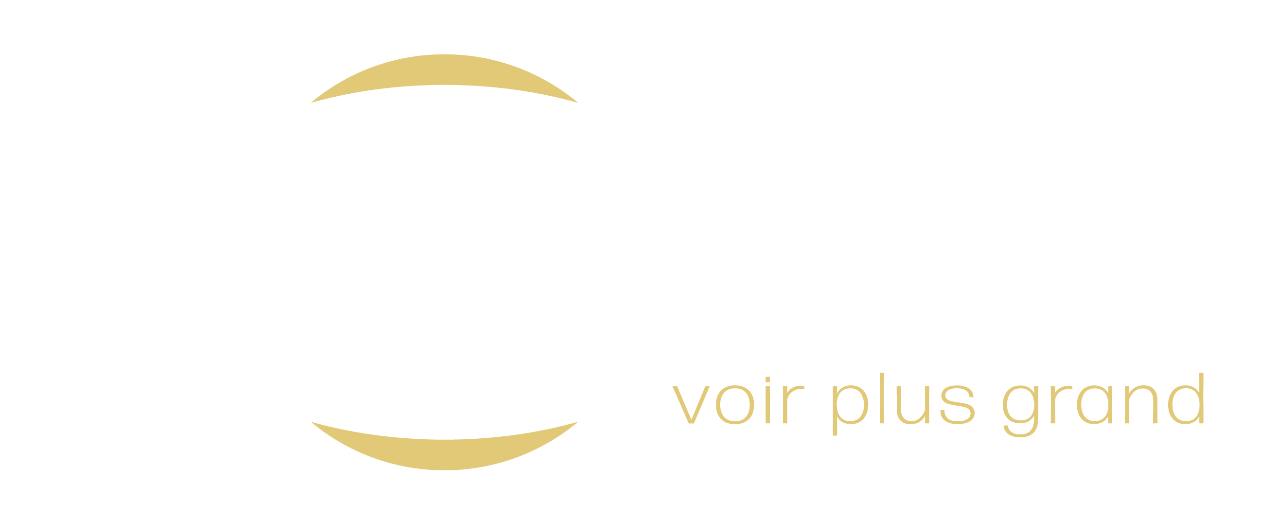 La Dame du Web